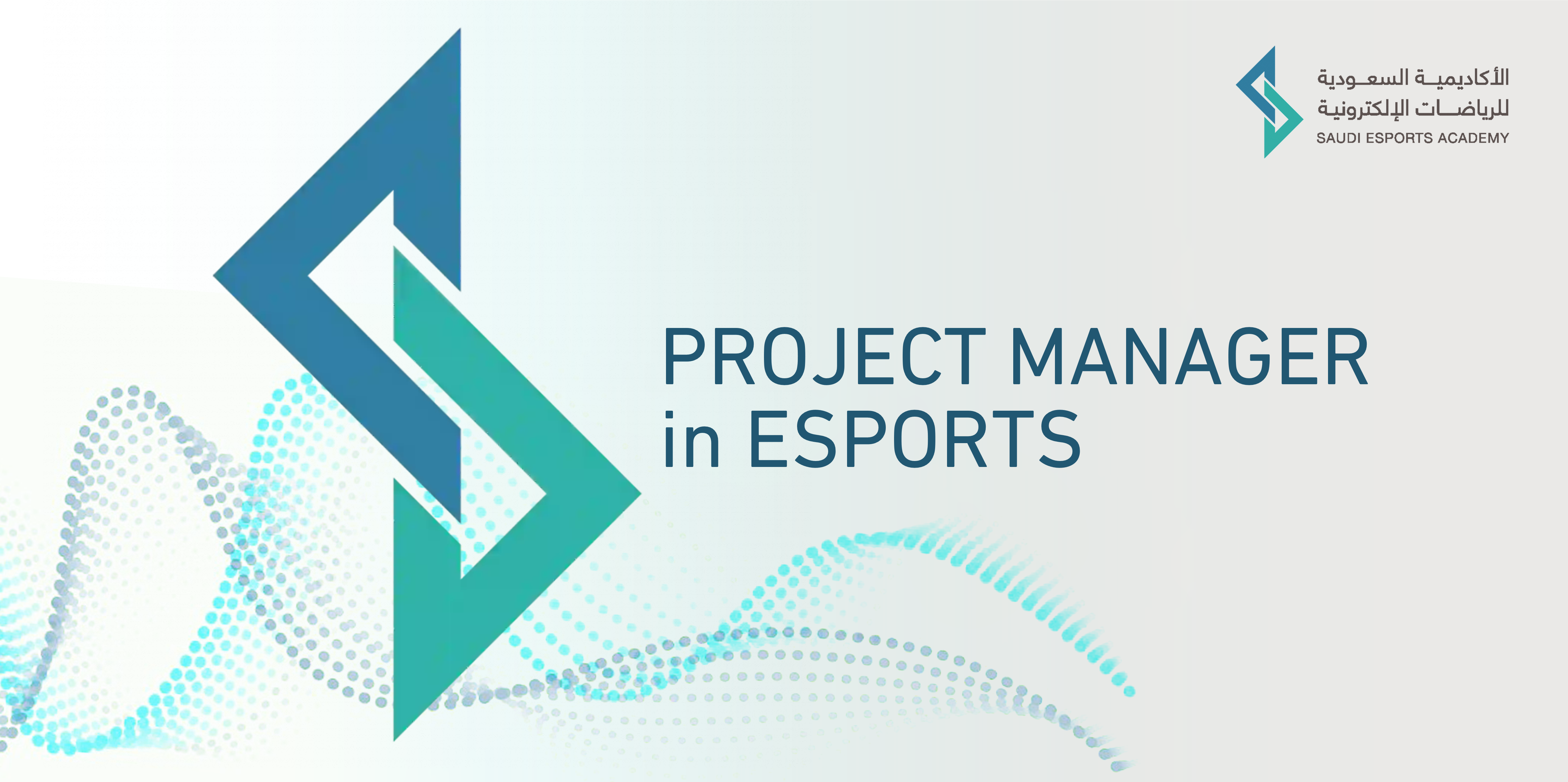PROJECT MANAGER in ESPORTS 102